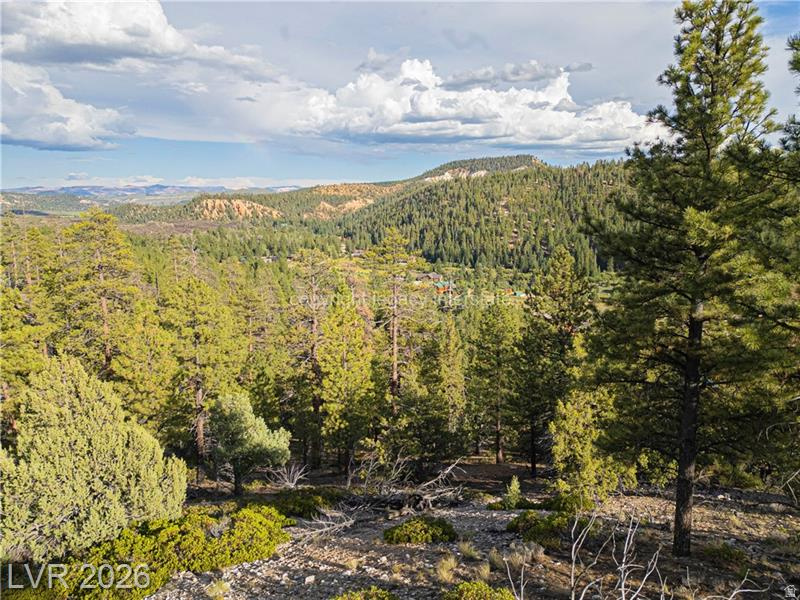 main property photo 60