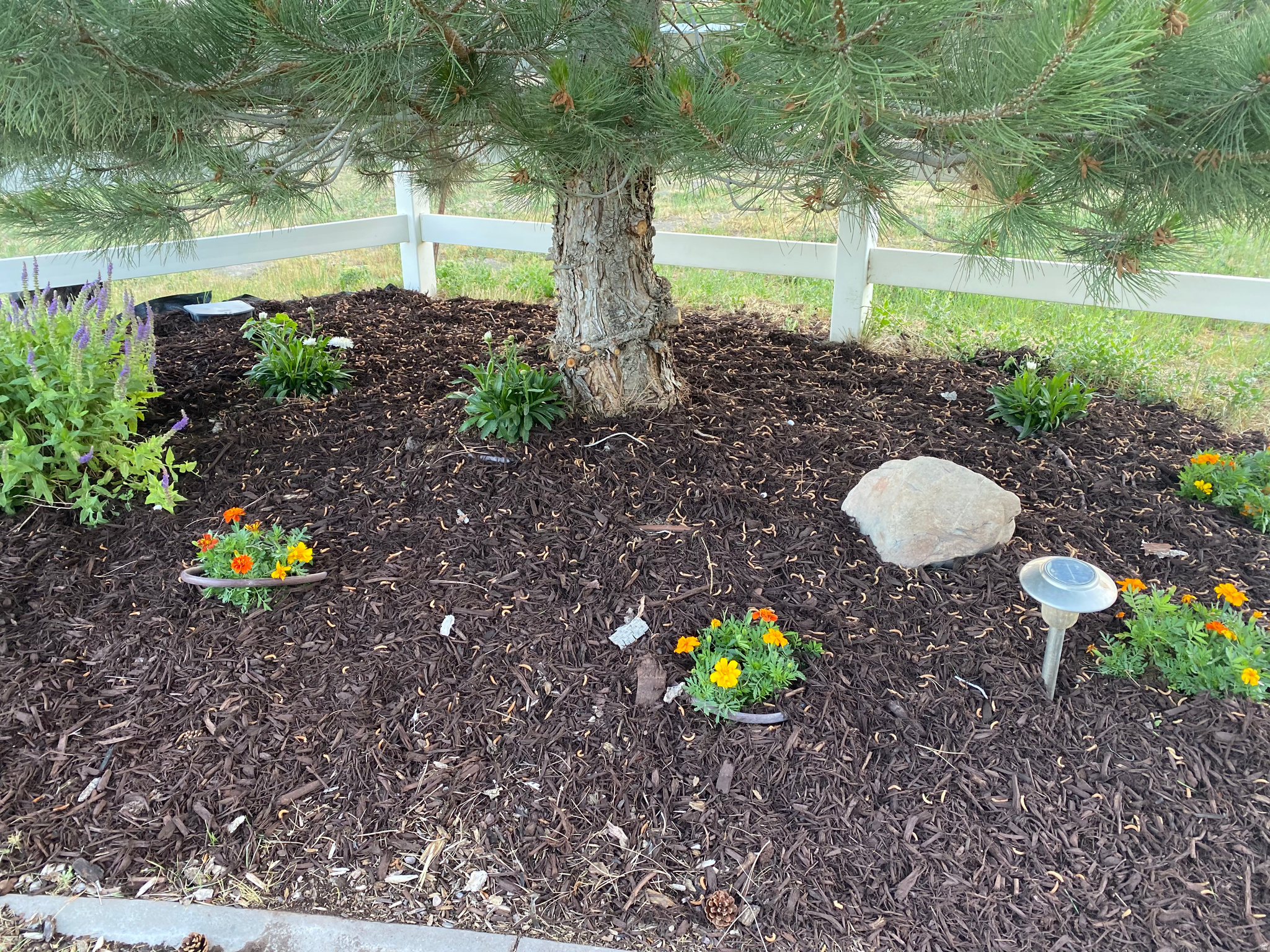 main property photo 49