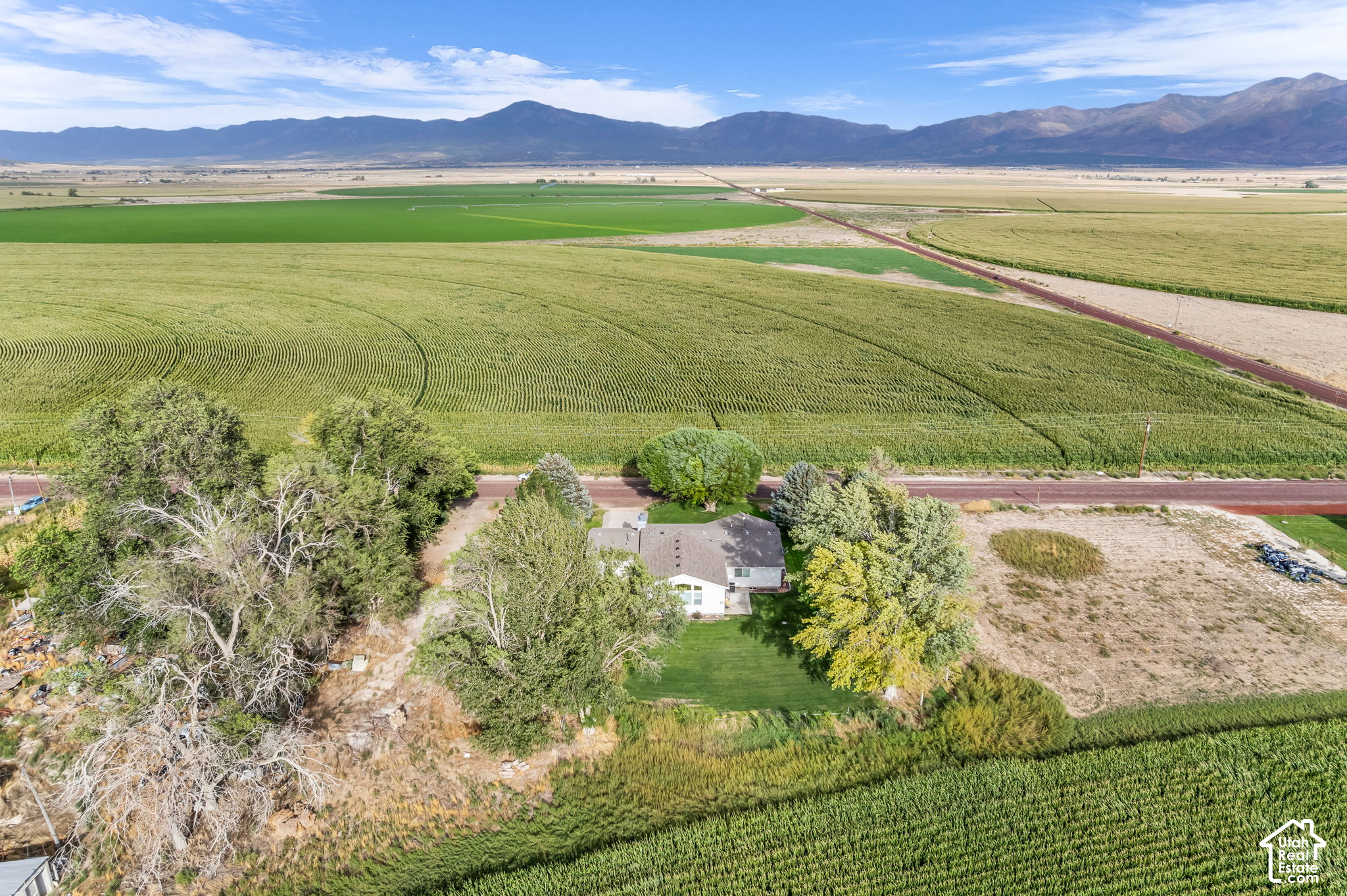 main property photo 47