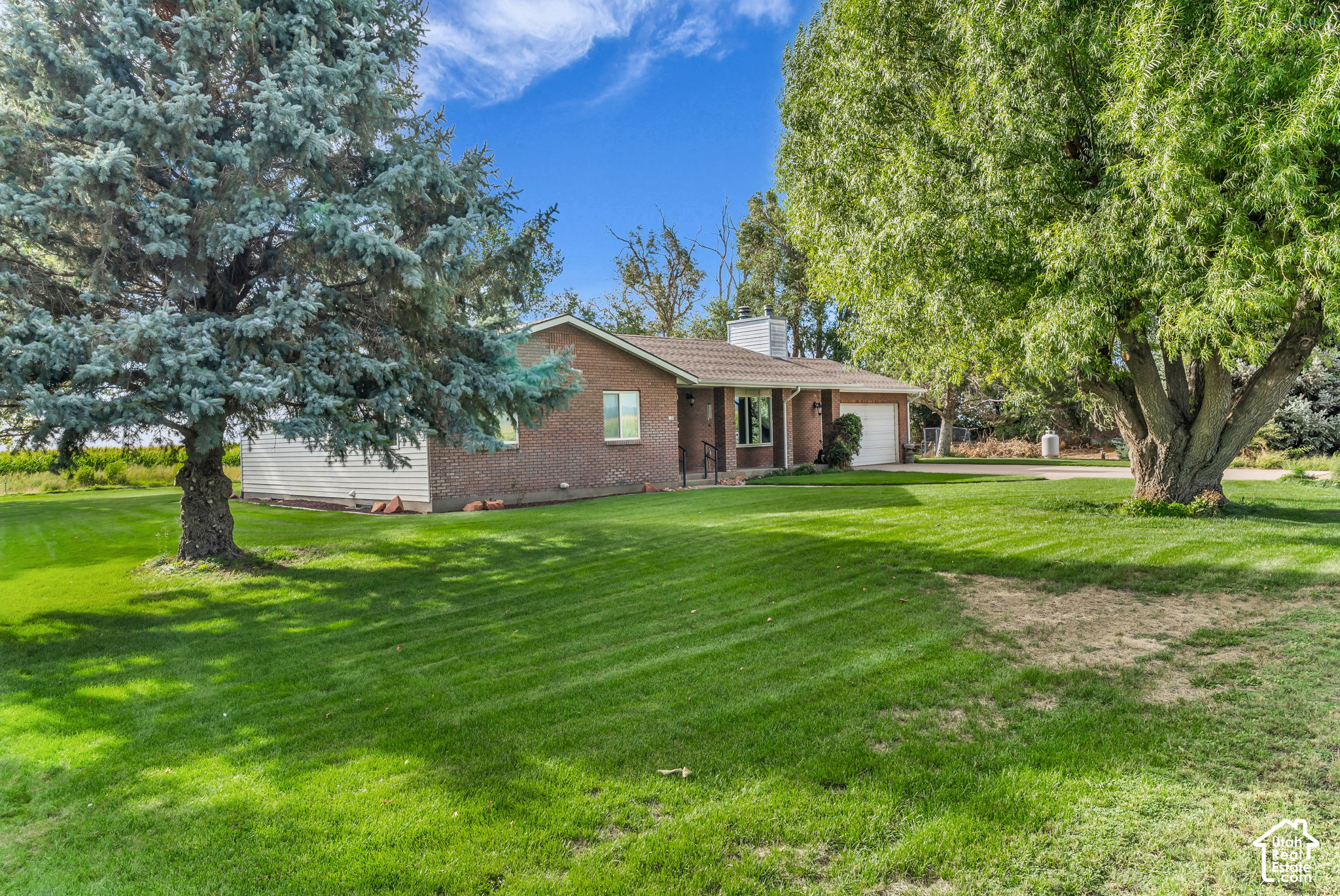 main property photo 54