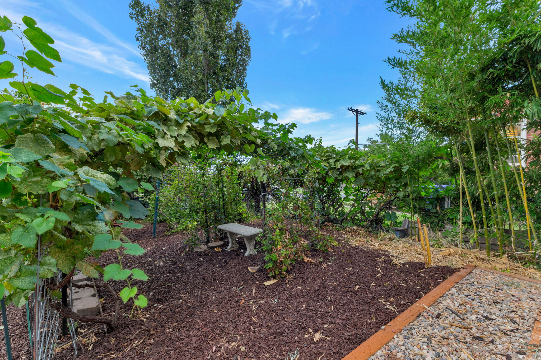 main property photo 21