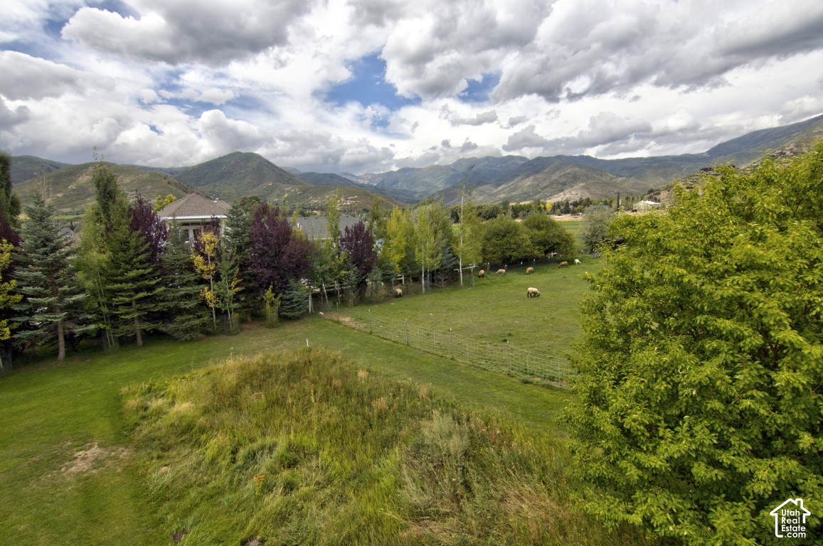 main property photo 15