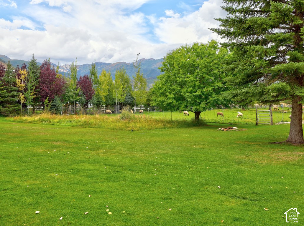 main property photo 66
