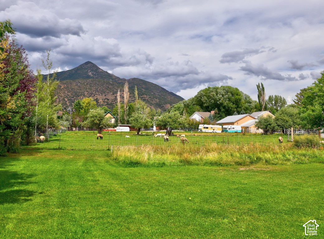 main property photo 87