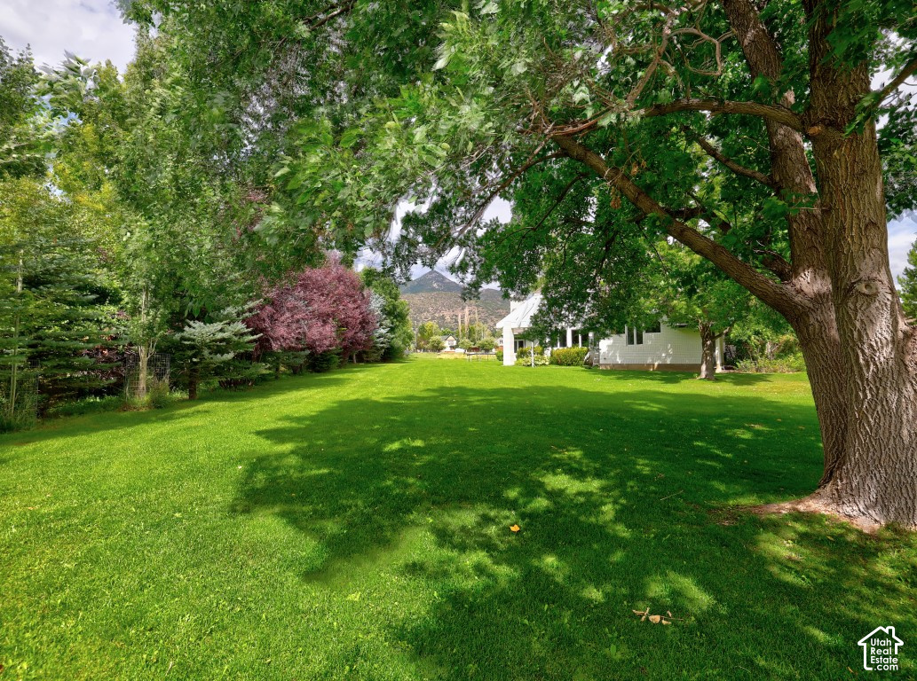 main property photo 91