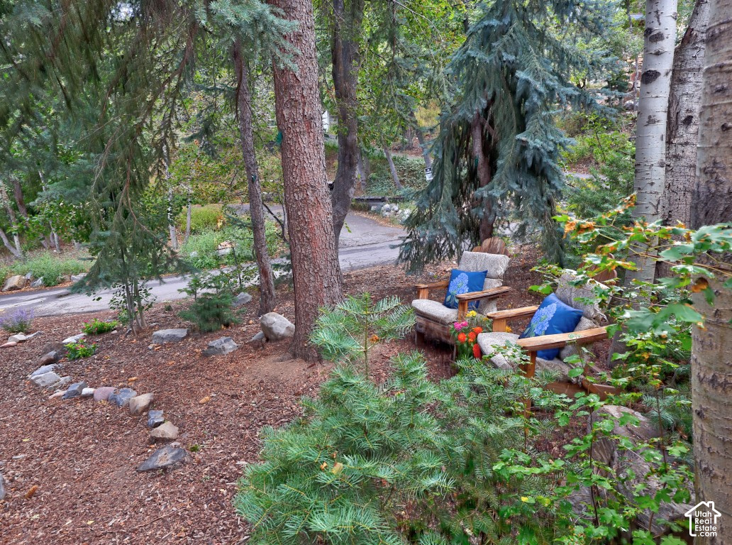 main property photo 64