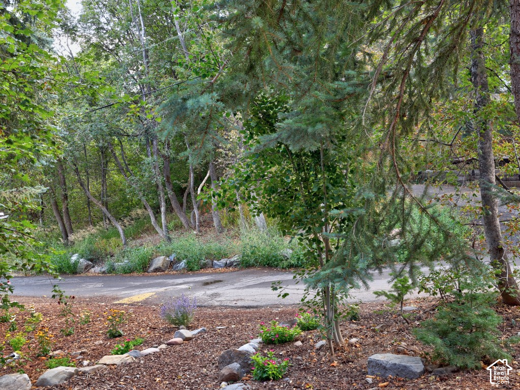main property photo 65