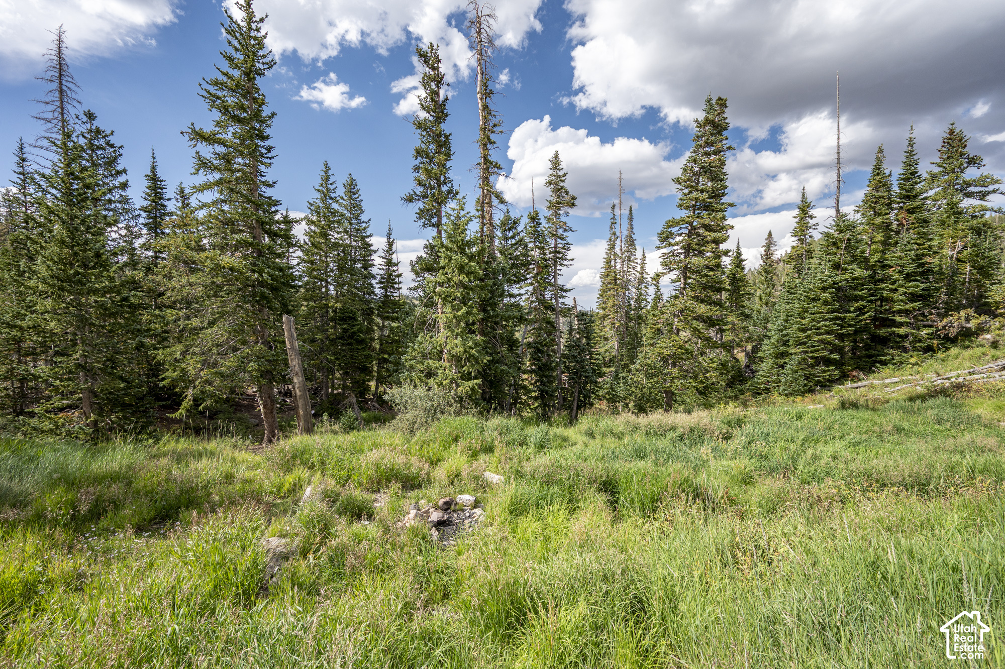 main property photo 84