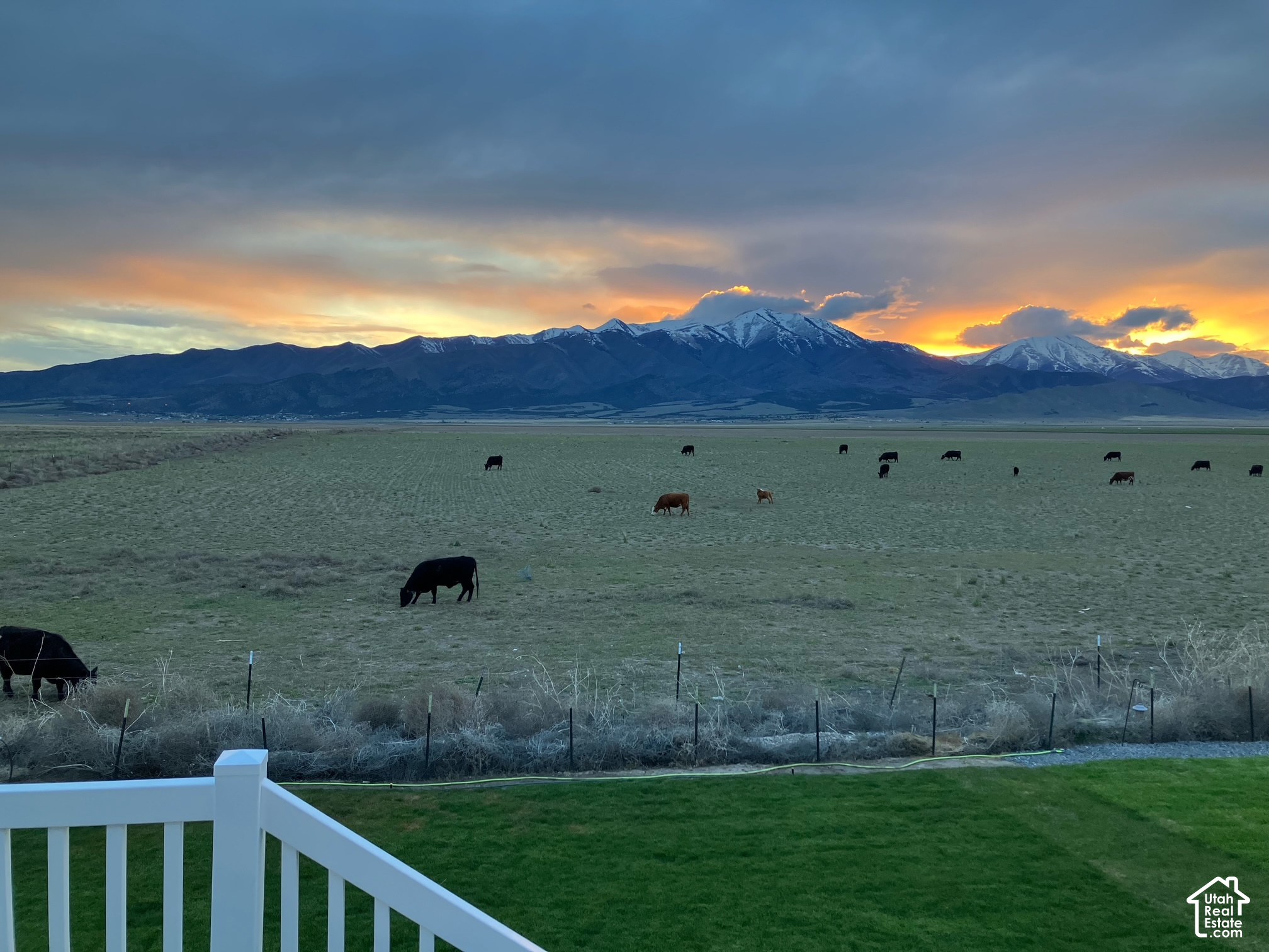main property photo 51