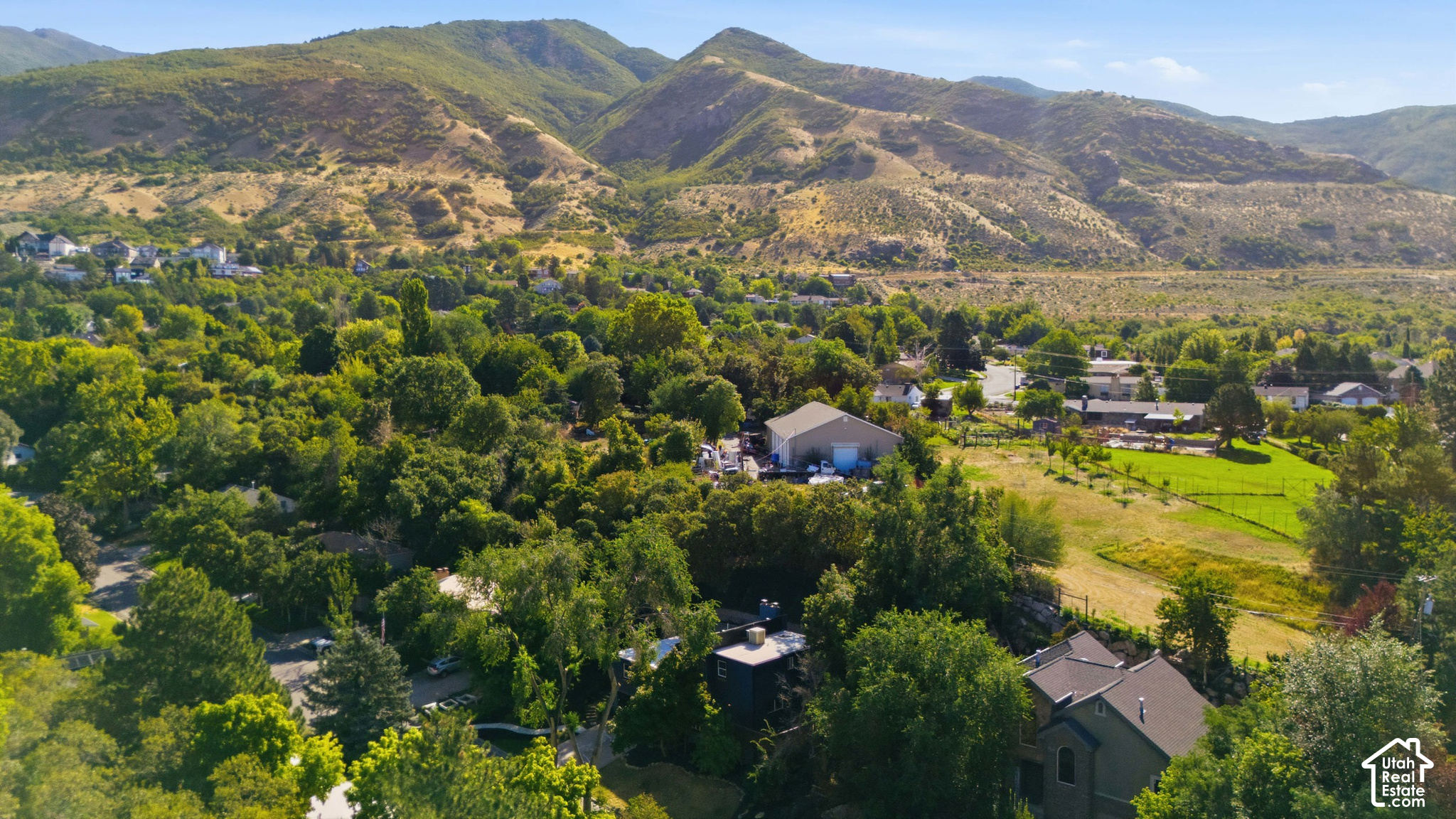 main property photo 56