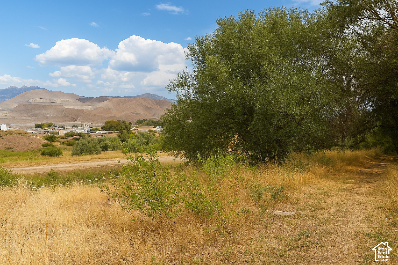 main property photo 54
