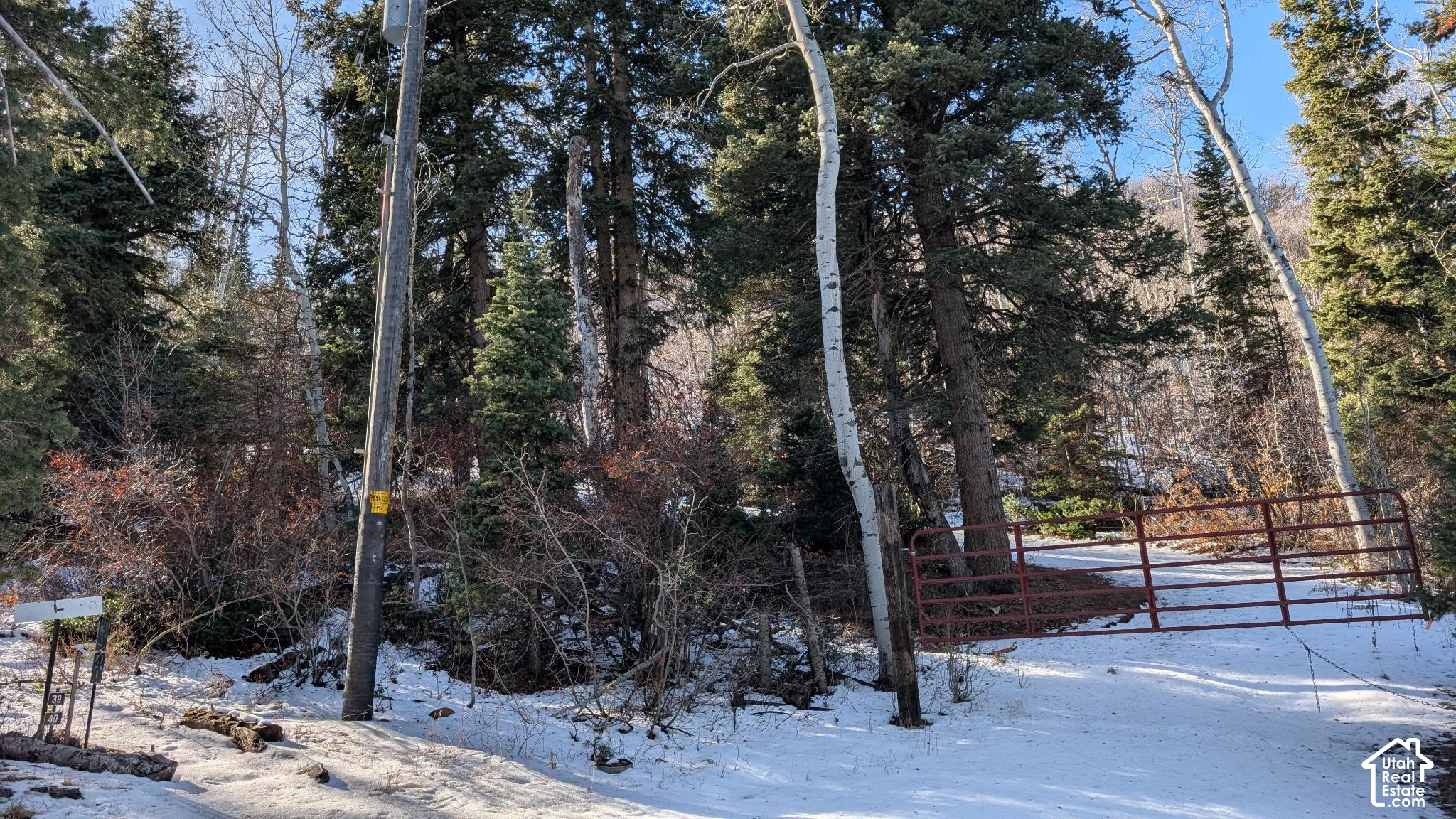 main property photo 2