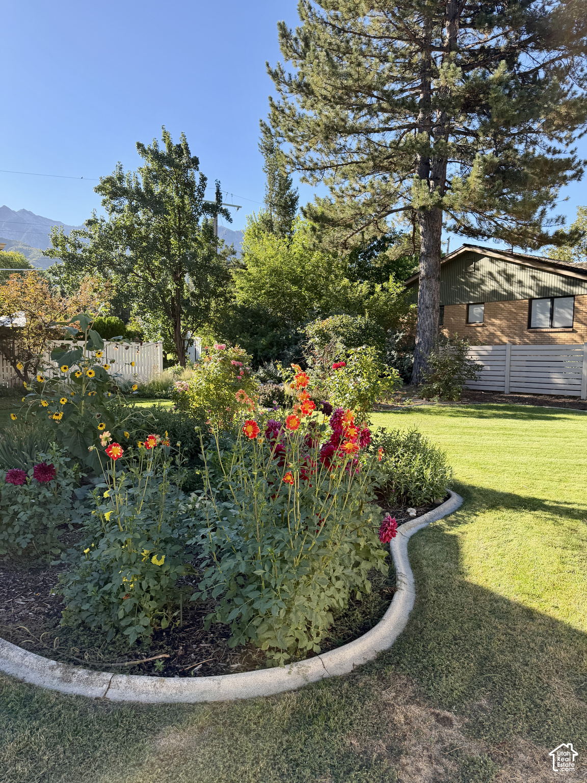 main property photo 59