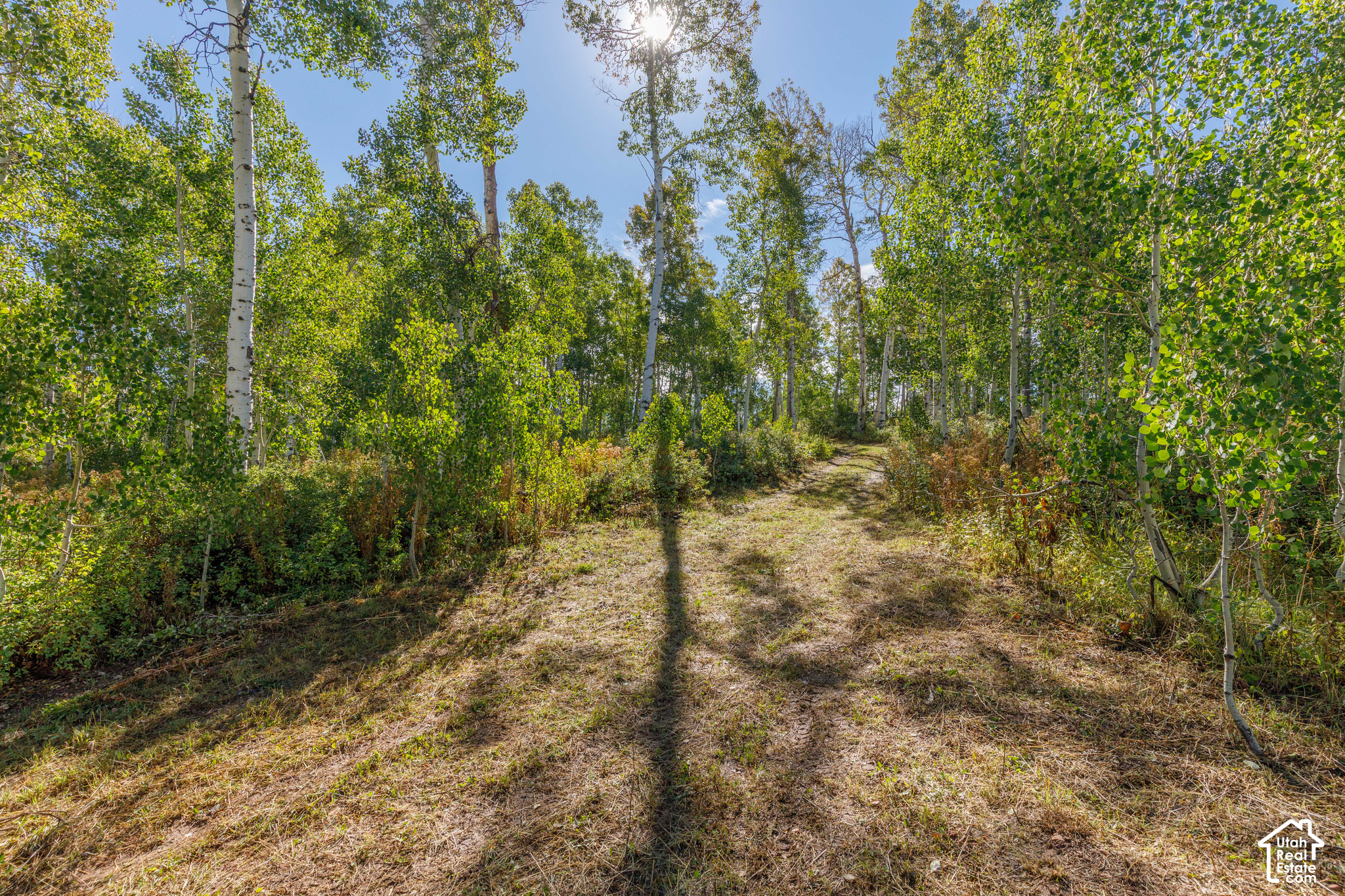 main property photo 20