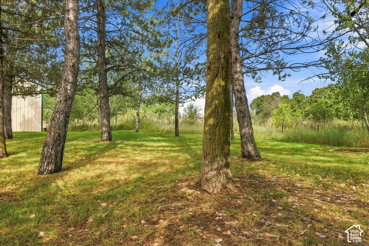 main property photo 67
