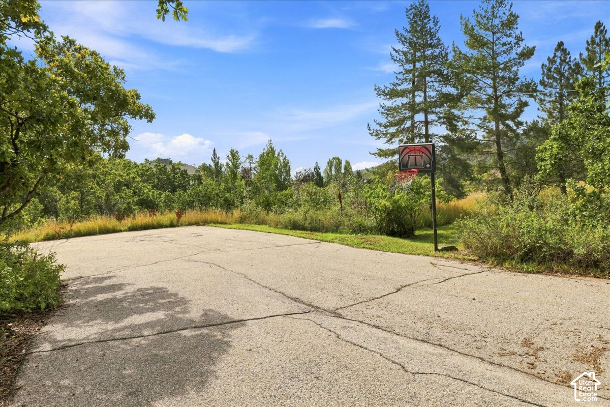 main property photo 68