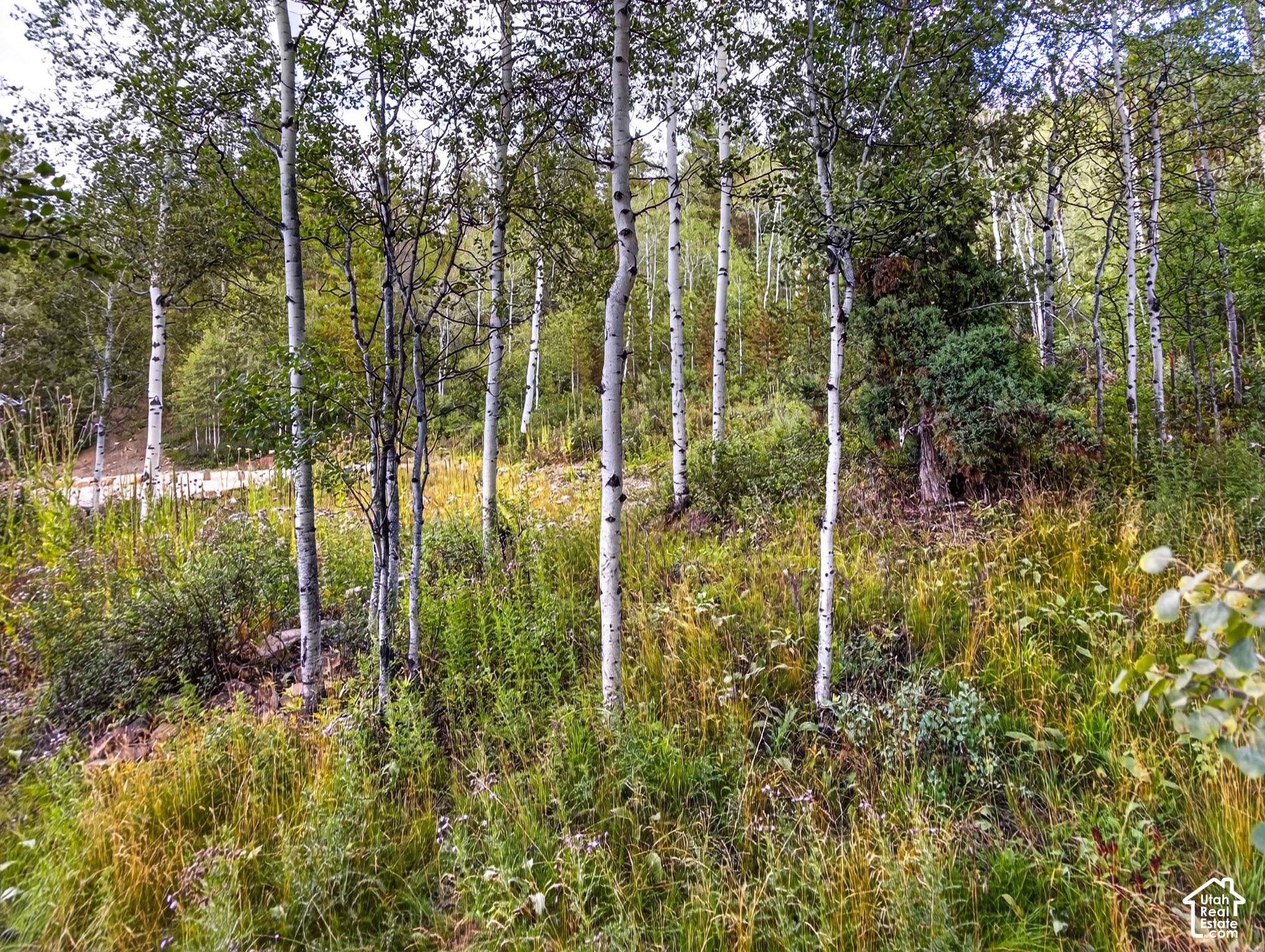main property photo 43