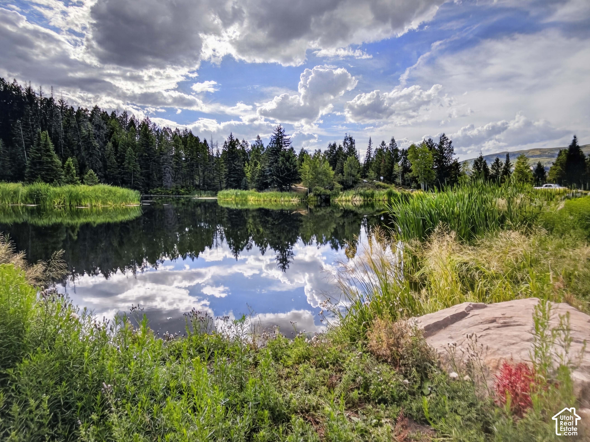 main property photo 46