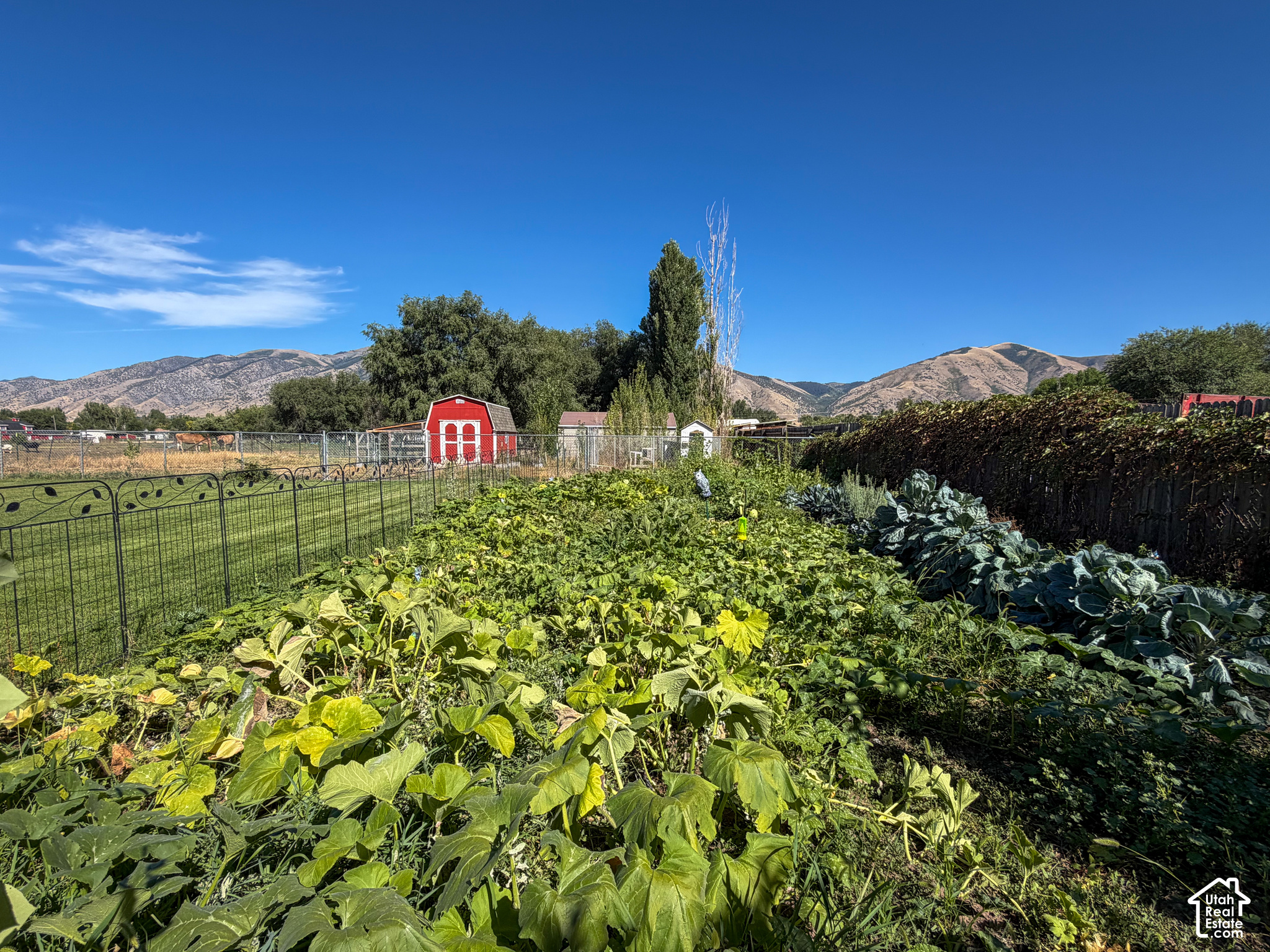 main property photo 30