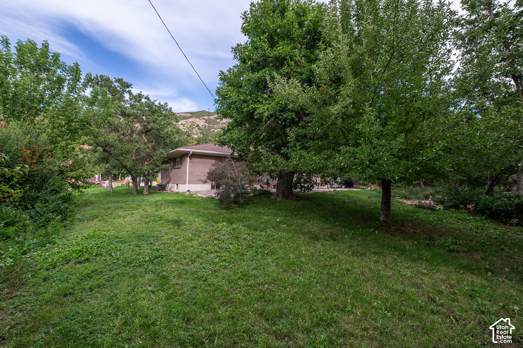 main property photo 44