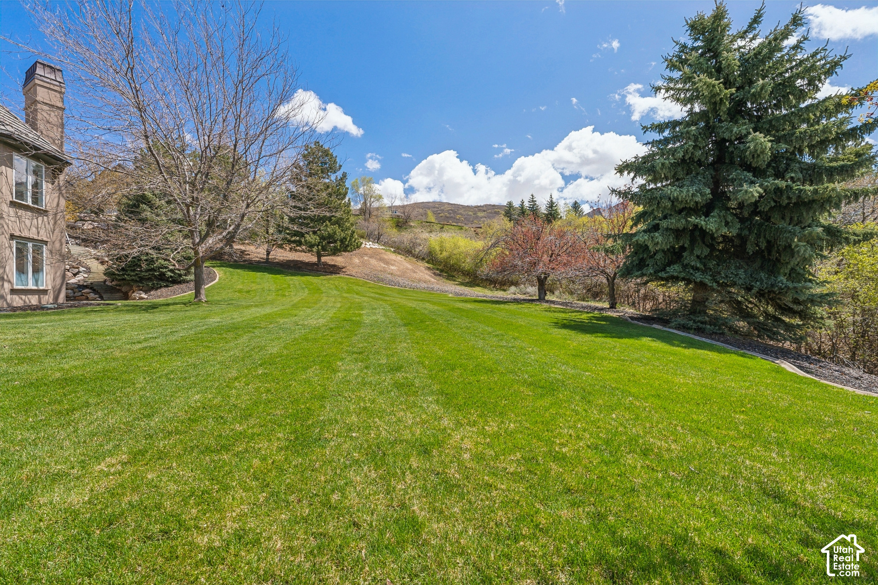 main property photo 100