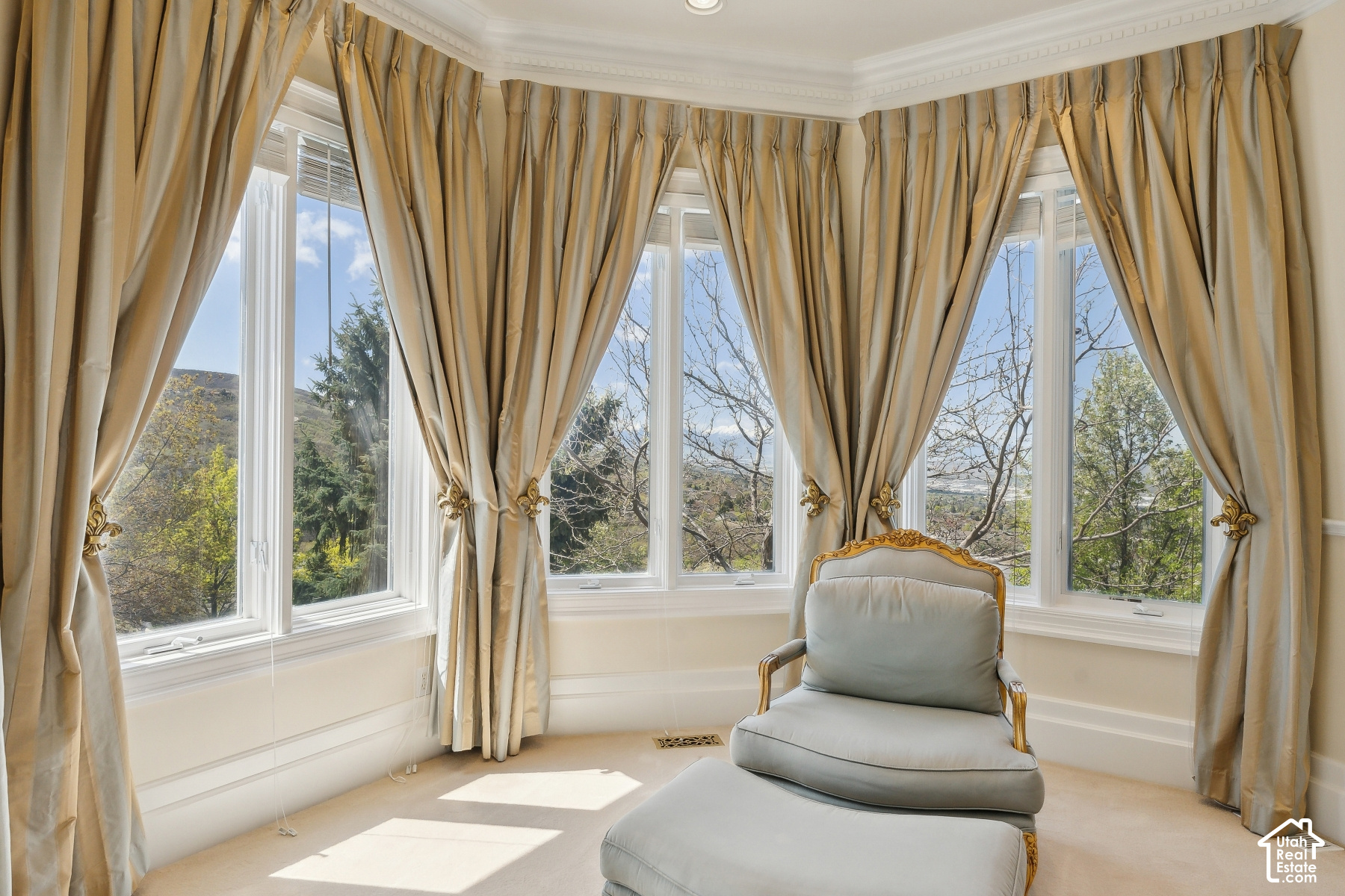 main property photo 61