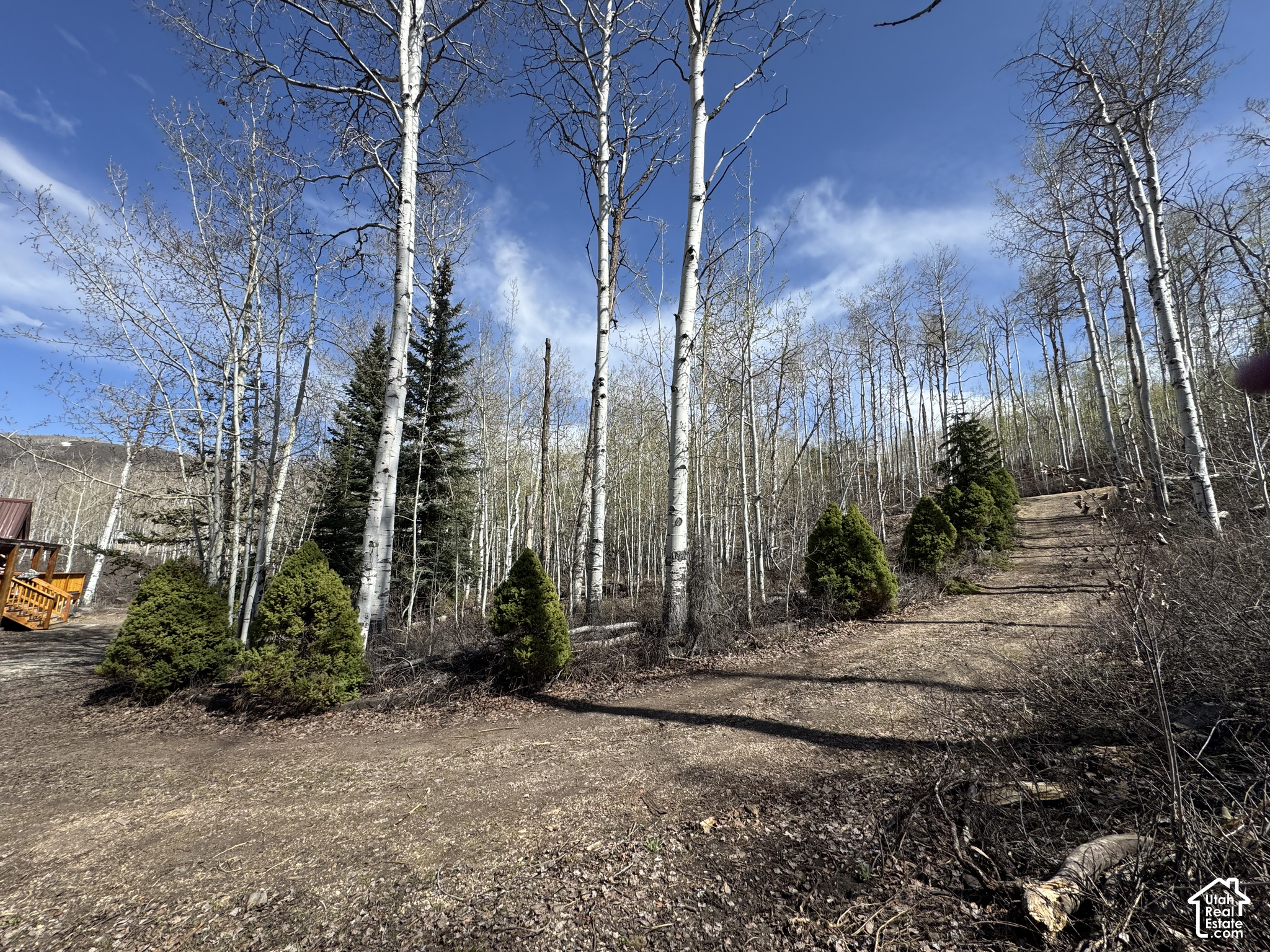 main property photo 5