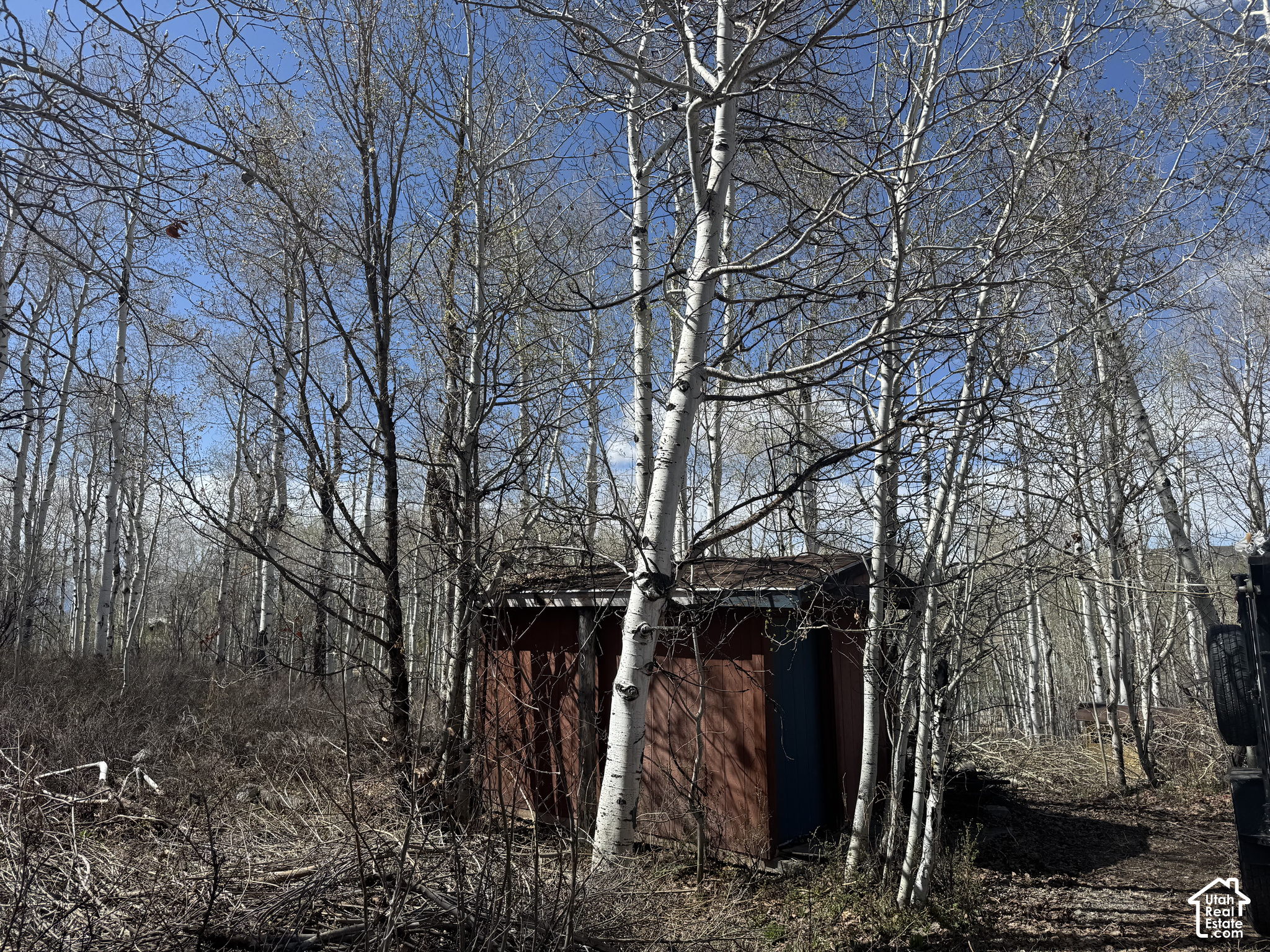 main property photo 6