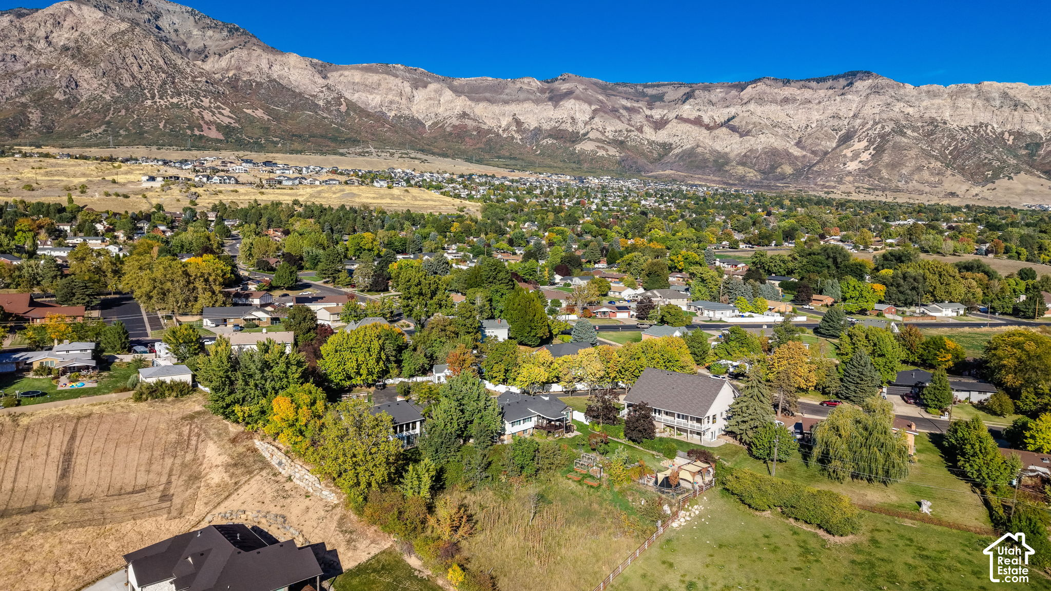 main property photo 54