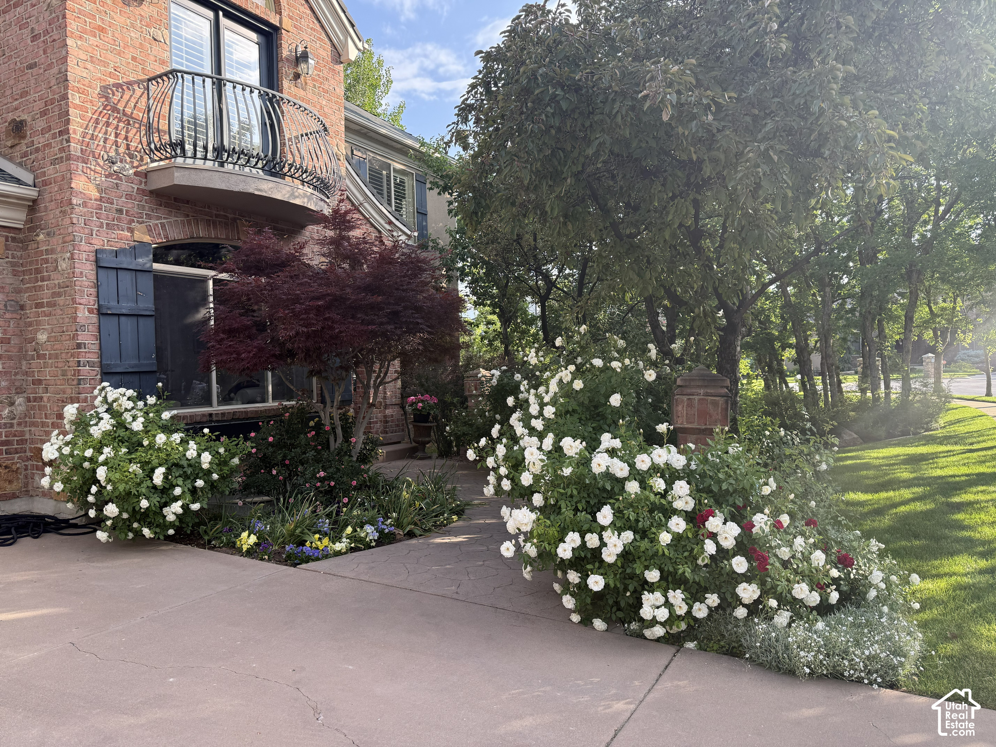main property photo 55