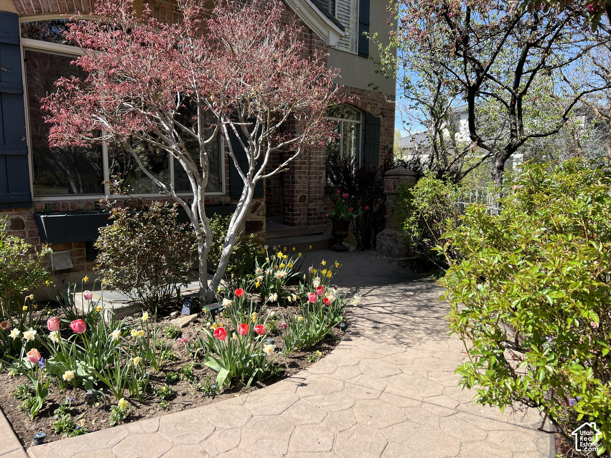 main property photo 57