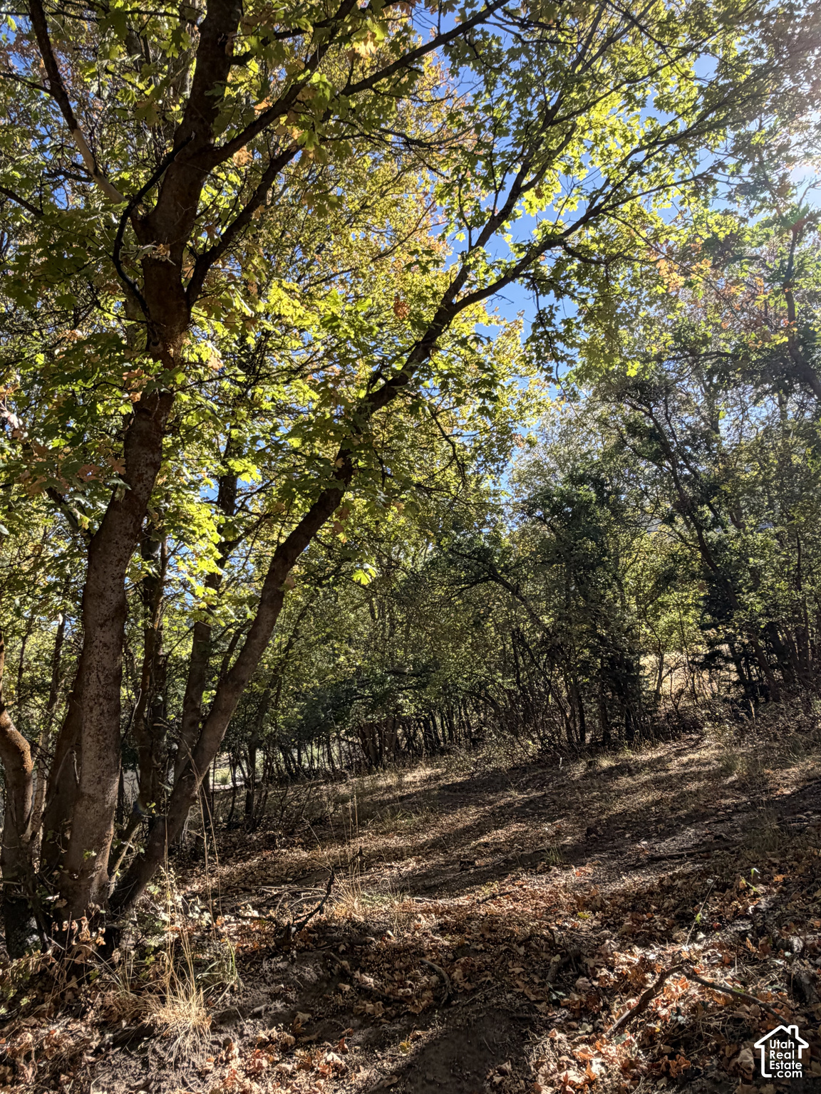 main property photo 21