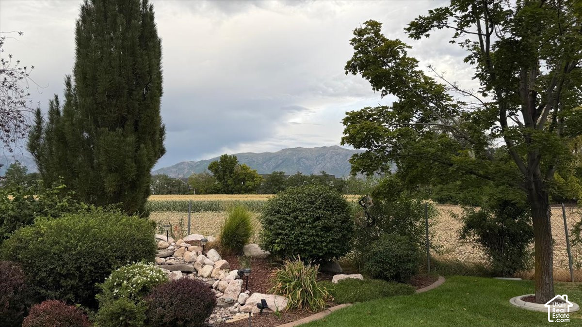 main property photo 55