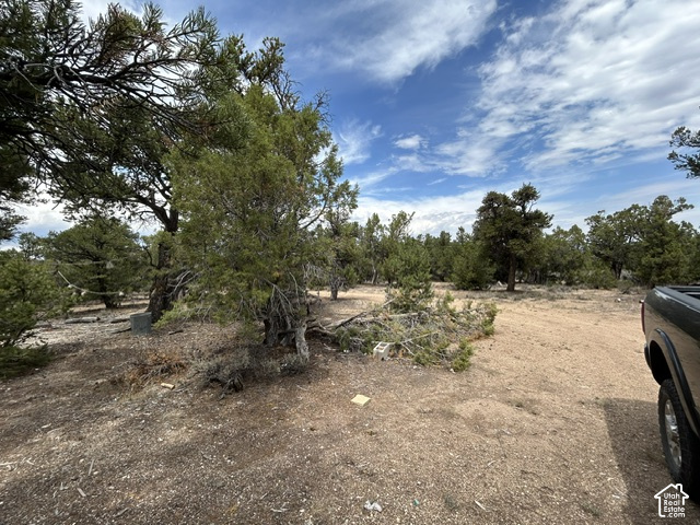 main property photo 11