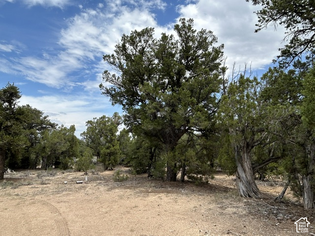 main property photo 15