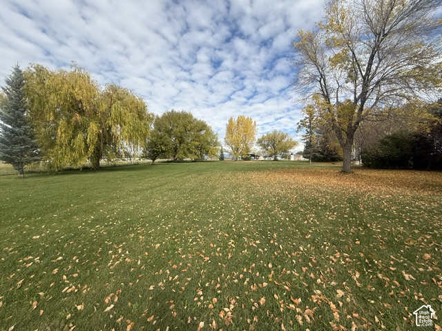 main property photo 107