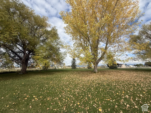 main property photo 110