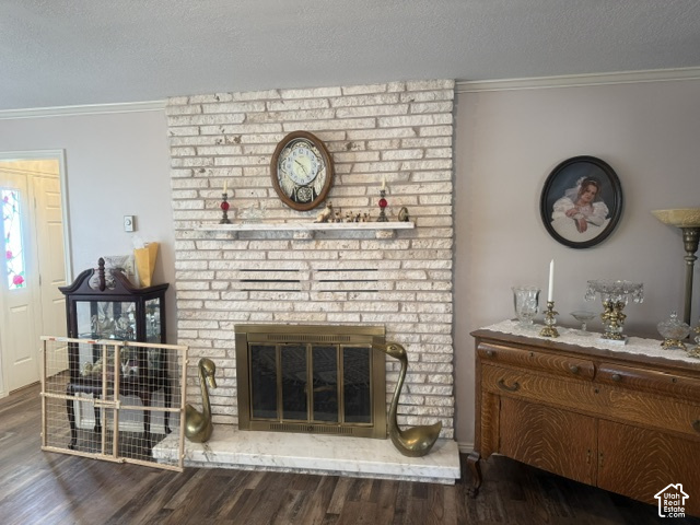 main property photo 52