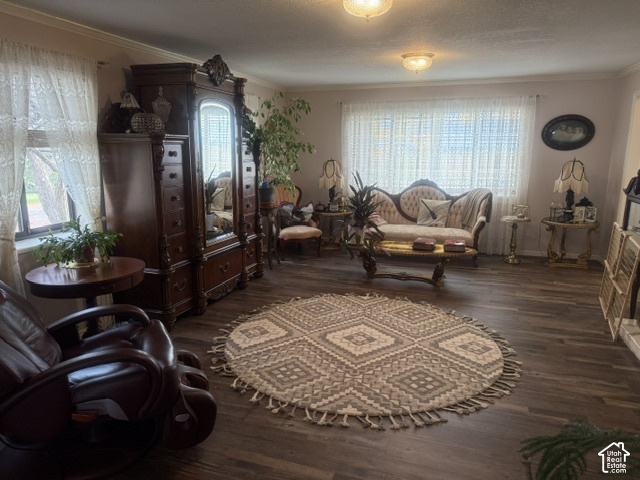main property photo 55