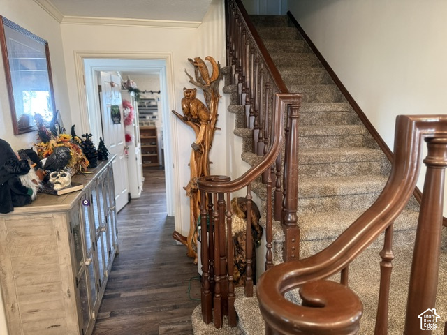 main property photo 82