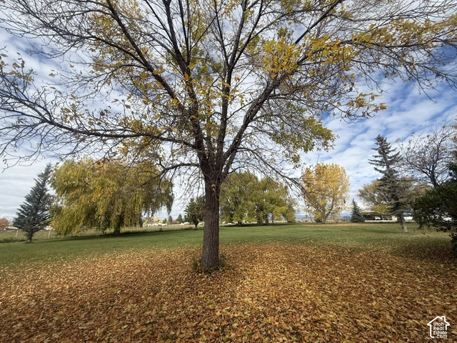 main property photo 94