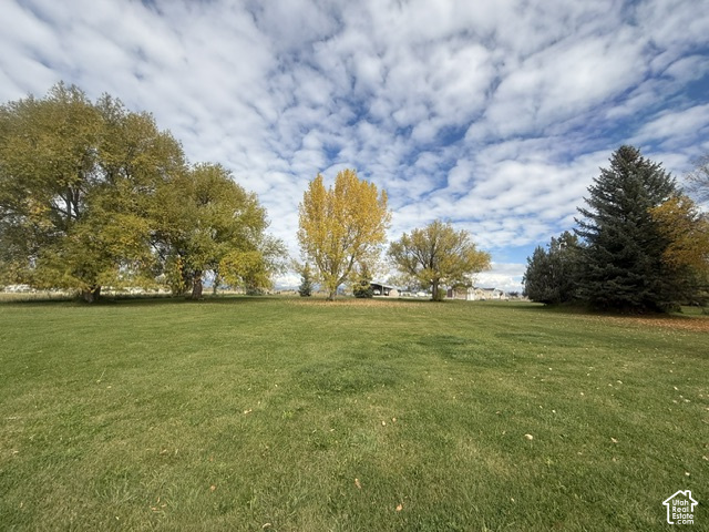 main property photo 97
