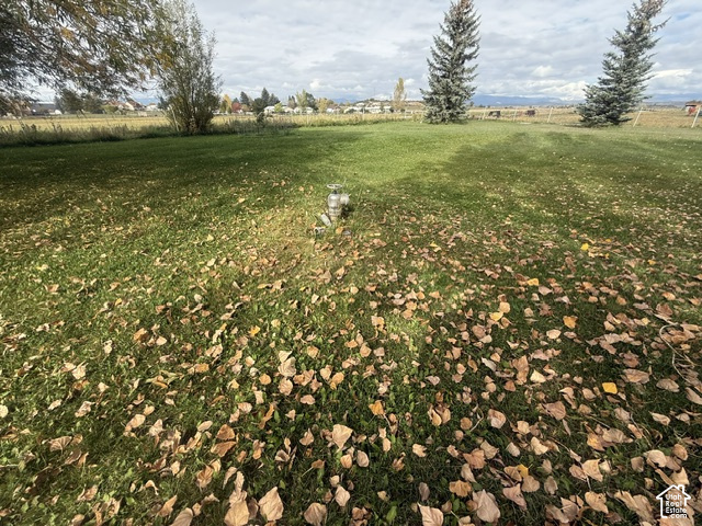 main property photo 99