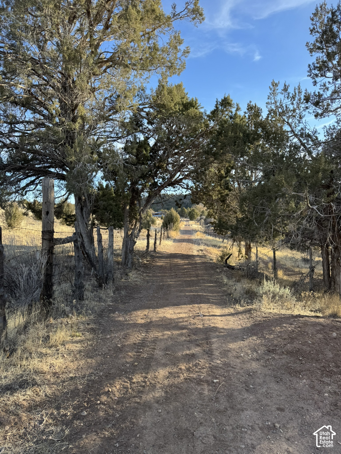 main property photo 46