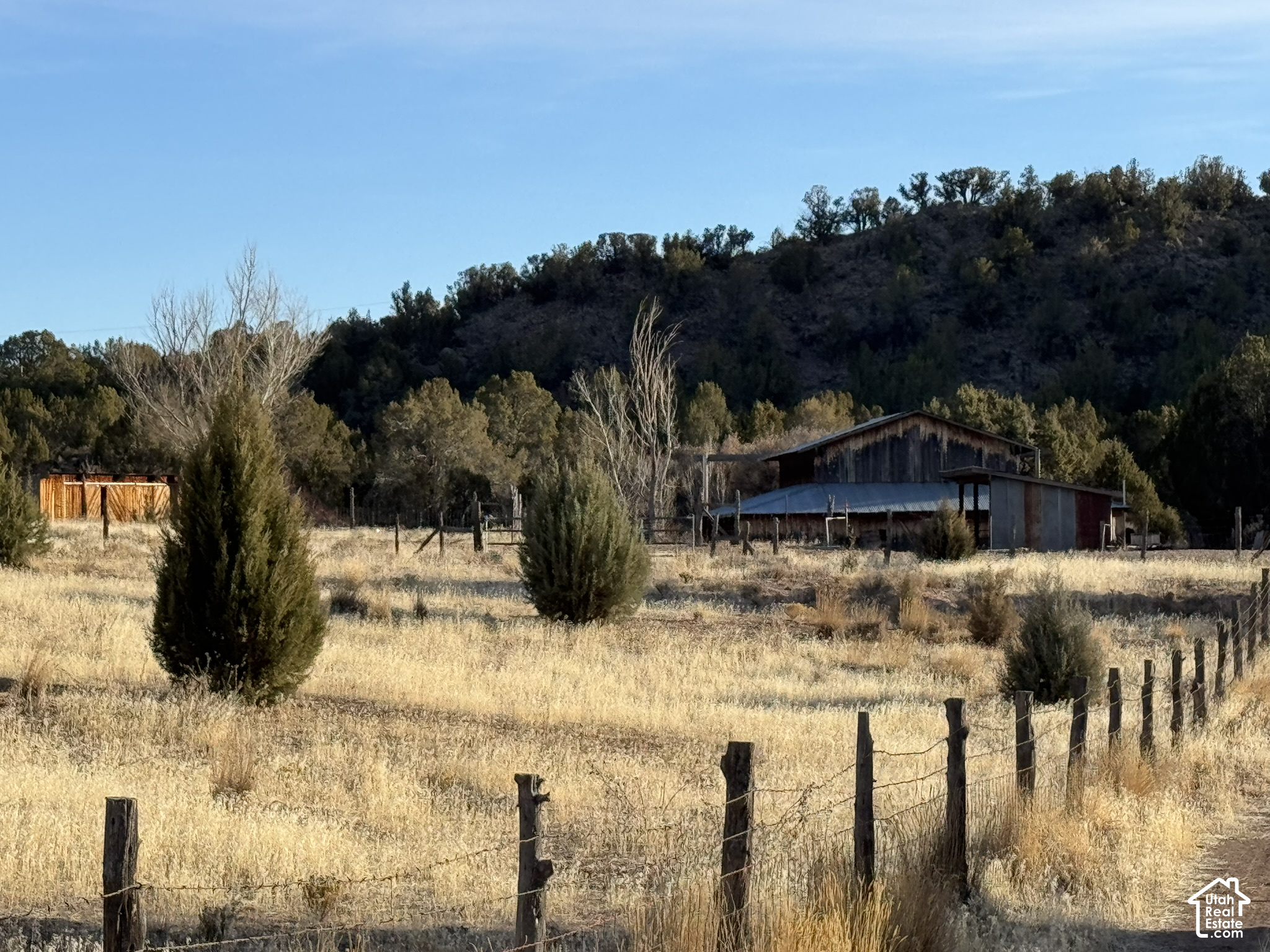 main property photo 58
