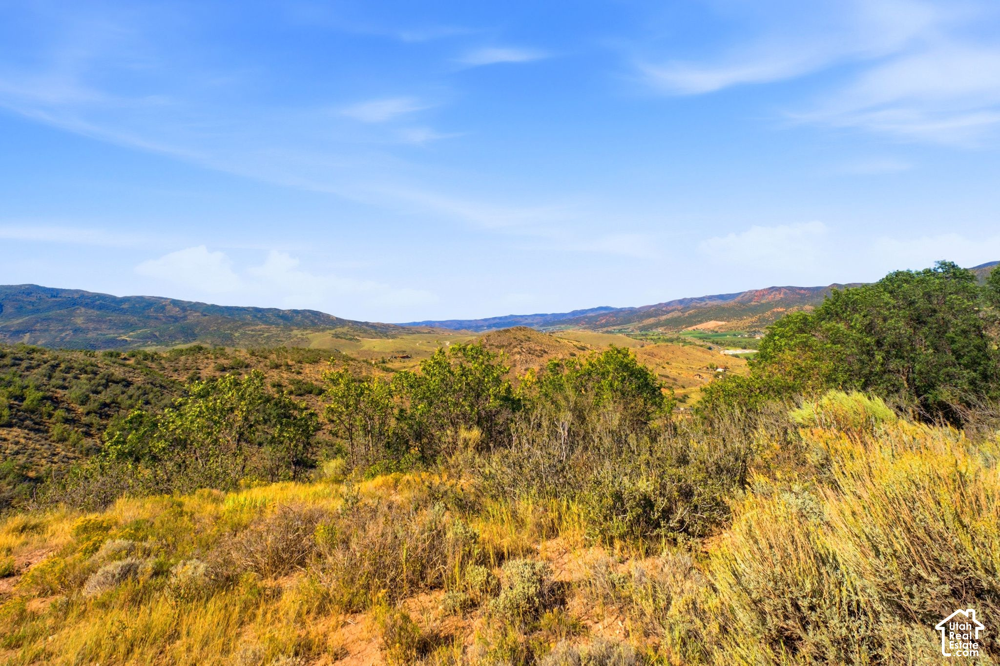 main property photo 58