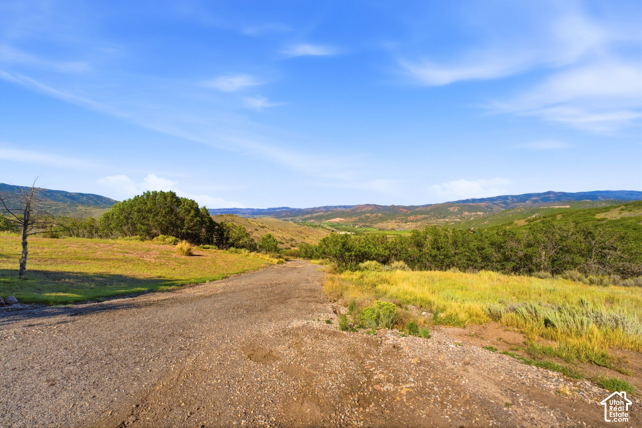 main property photo 64
