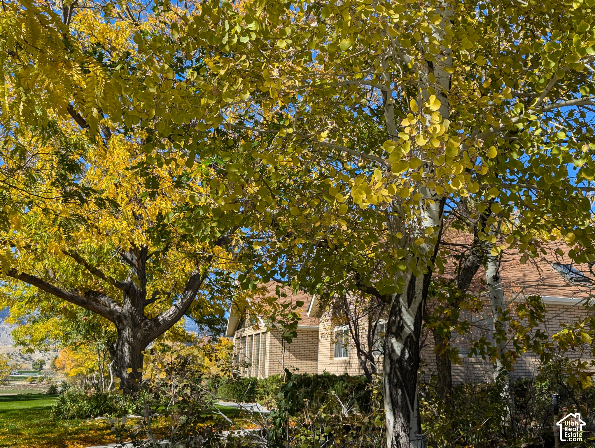 main property photo 102