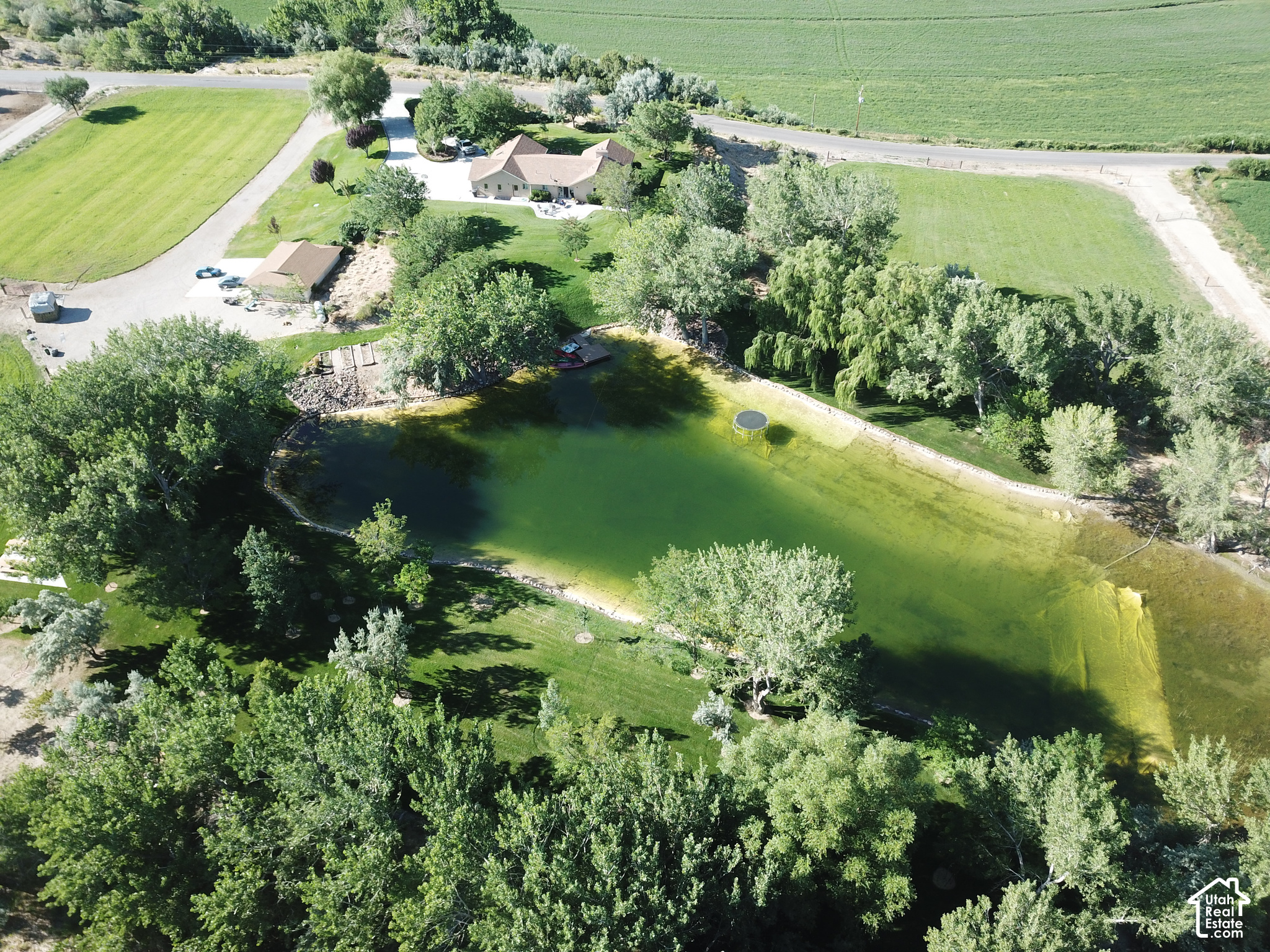 main property photo 7