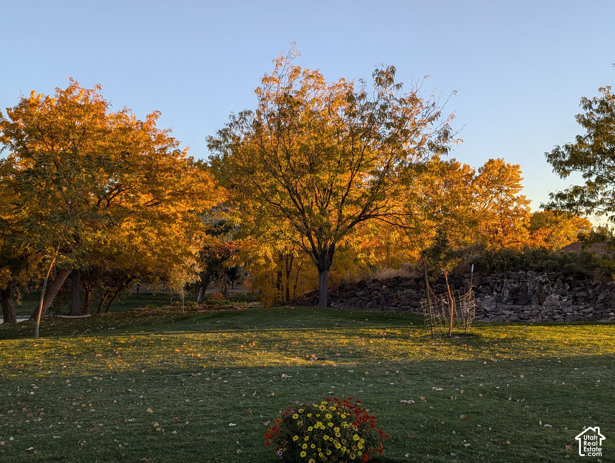 main property photo 72